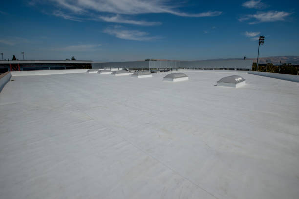 Best Flat Roofing  in Balcones Heights, TX