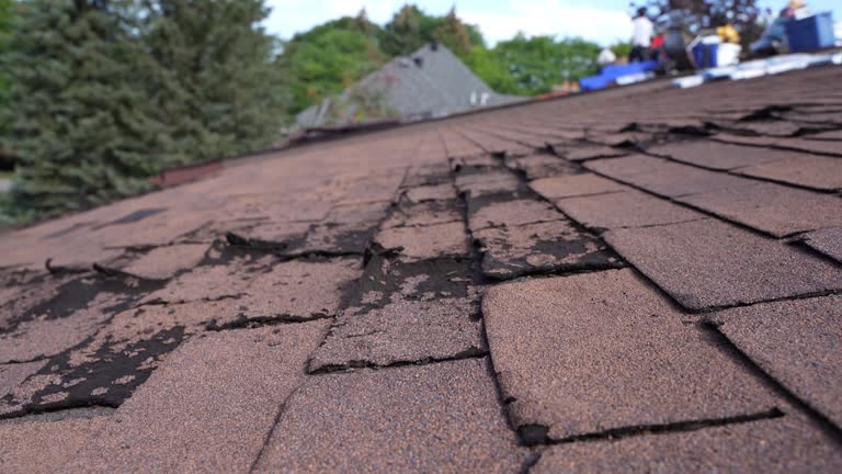 Best Hot Roofs  in Balcones Heights, TX