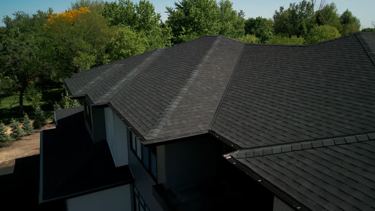 Best Roof Leak Repair  in Balcones Heights, TX