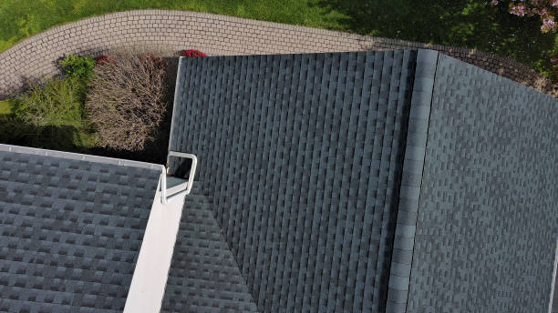 Best Chimney Flashing Repair  in Balcones Heights, TX
