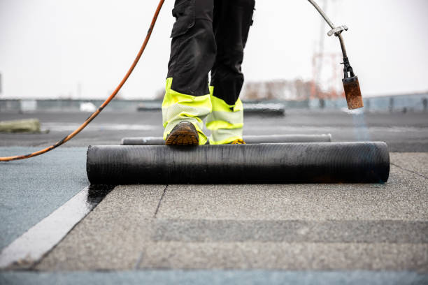 Best Sheet Metal Roofing  in Balcones Heights, TX