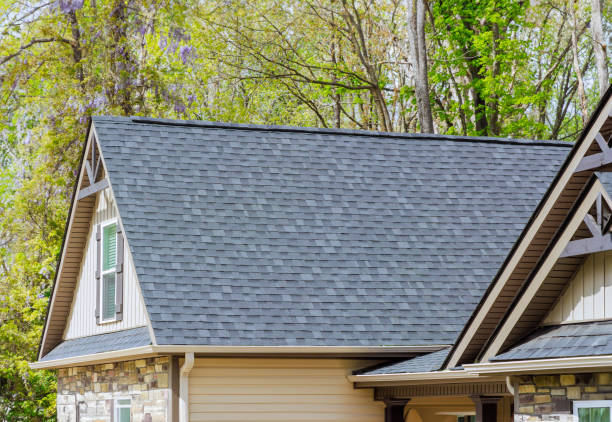 Best Gutter Installation and Repair  in Balcones Heights, TX
